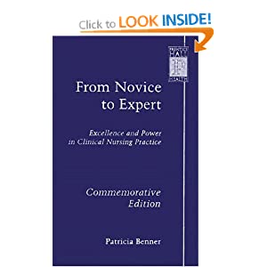 benner from novice to expert pdf pro